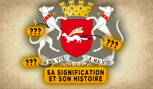 blason-histoire-vannes