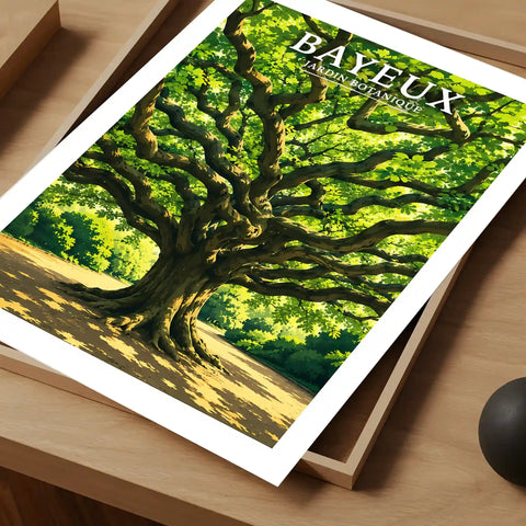 Affiche - Bayeux - Jardin Botannique