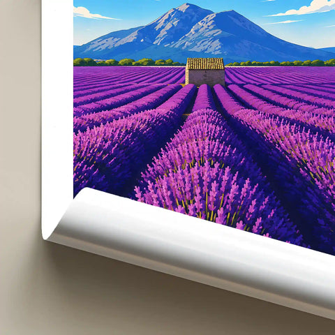 Affiche - Valensole
