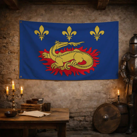 Drapeau - Blason de François 1er