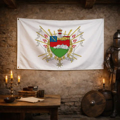Drapeau - Blason de La-Roche-sur-Yon