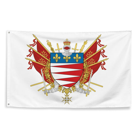 Drapeau - Blason de Castres