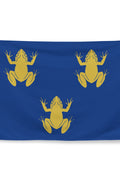 Drapeau - Blason de Clovis