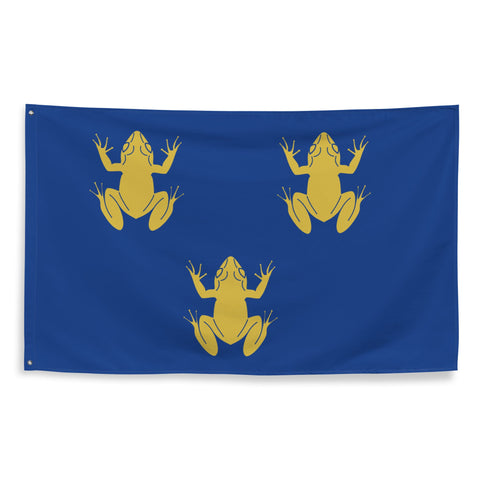 Drapeau - Blason de Clovis