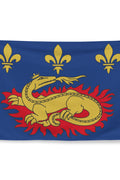 Drapeau - Blason de François 1er