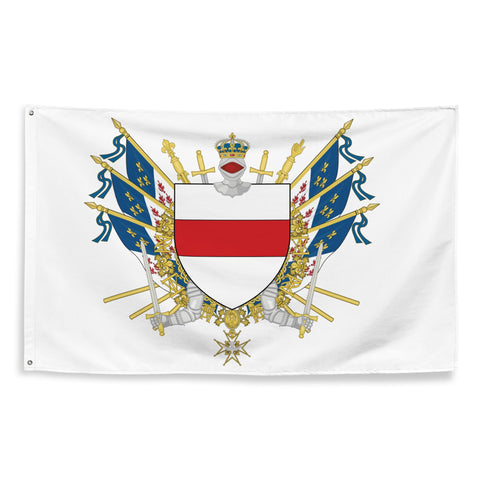 Drapeau - Blason de Noyon
