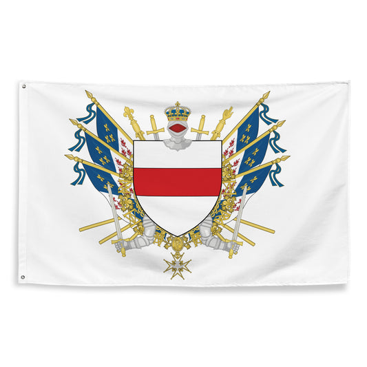 drapeau-blason-noyon