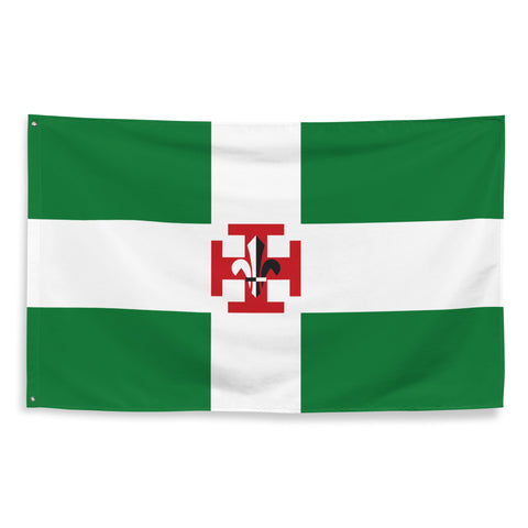 Drapeau - Scouts de France