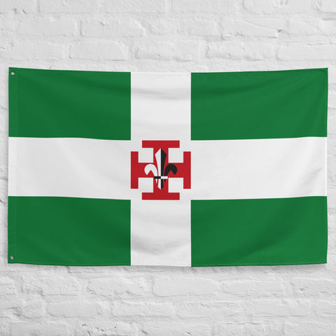 Drapeau - Scouts de France