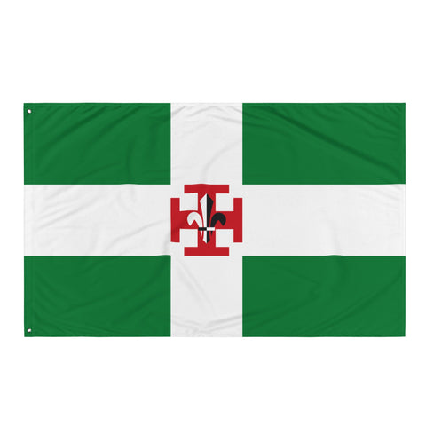 Drapeau - Scouts de France