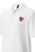 Polo - Auch