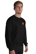 Pull - Aquitaine