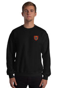 Pull - Arras