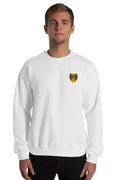 Pull - Blois