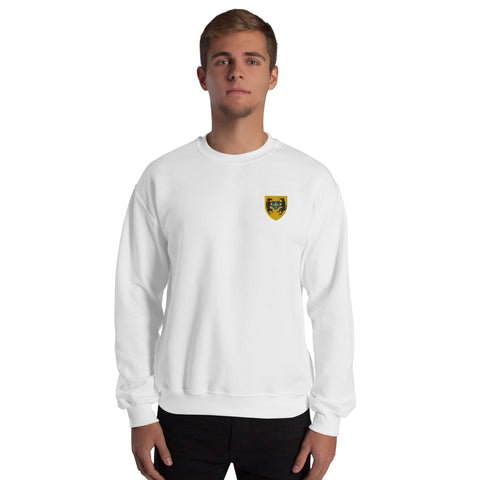 Pull - Blois