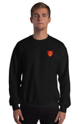 Pull - Douai
