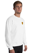 Pull - Grenoble