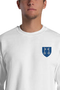 Pull - Mont-de-Marsan