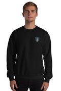 Pull - Niort