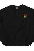 Pull - Oyonnax