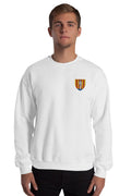 Pull - Perpignan