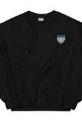 Pull - Reims
