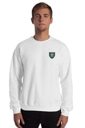 Pull - Saint-Brieuc