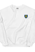 Pull - Saint-Brieuc