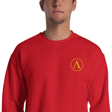 Pull - Spartiate