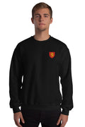 Pull - Valenciennes