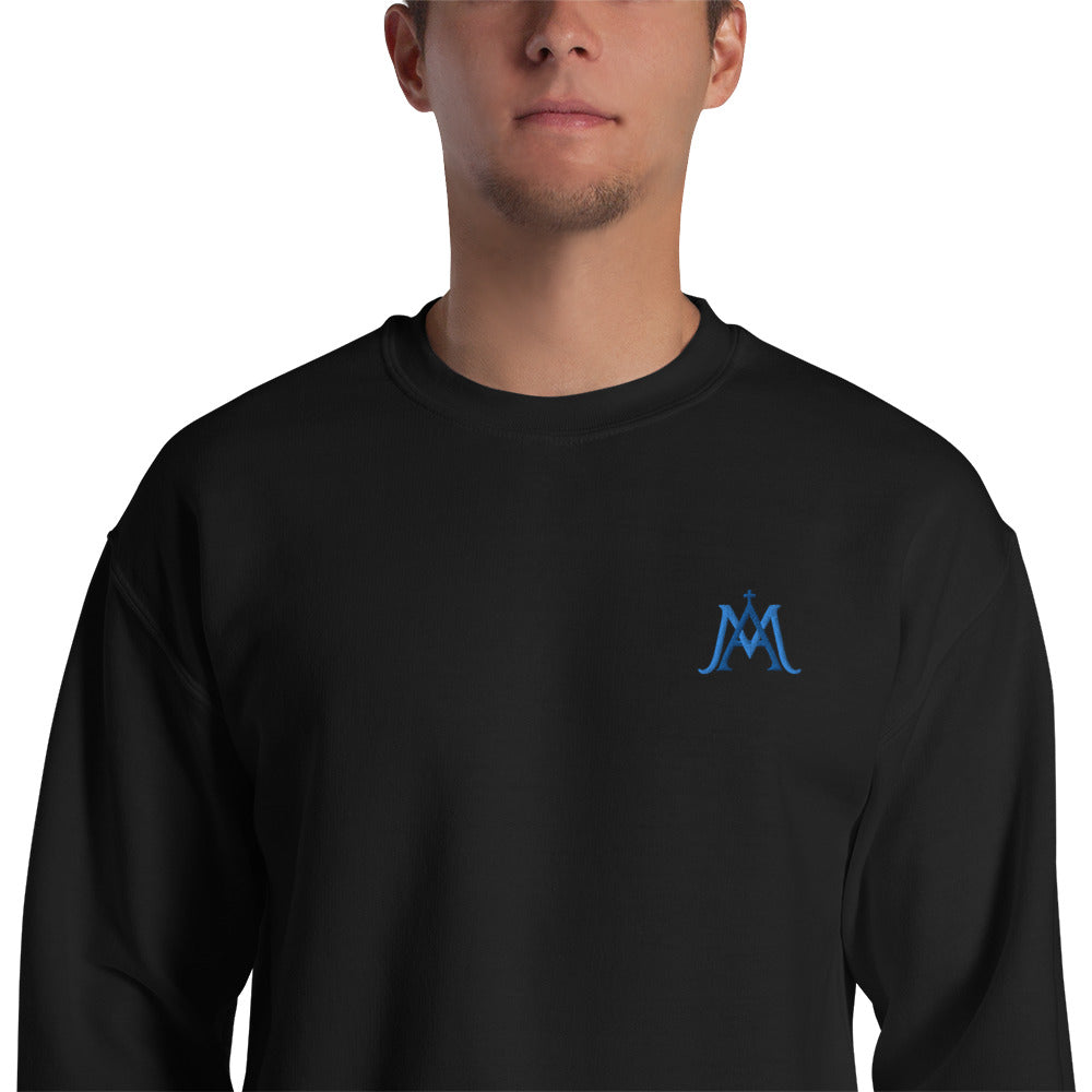 Pull - Vierge Marie